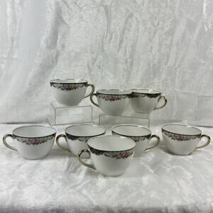 Thuny Czechoslovakia Porcelain Tea Cups Set Of 8 Floral Garland Gold Trim